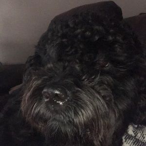 Meet your Posher, Madeline